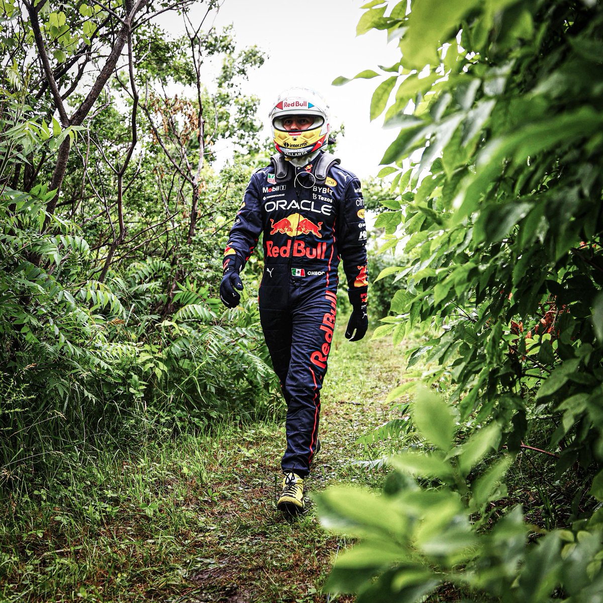 Out of context F1 🍃