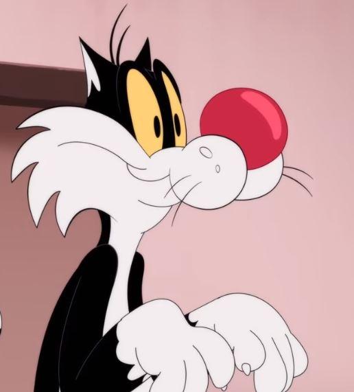 Crash_Wiley's tweet photo. Happy Sylvester Saturday y'all! #LooneyTunes https://t.co/rSXjOqAzOE
