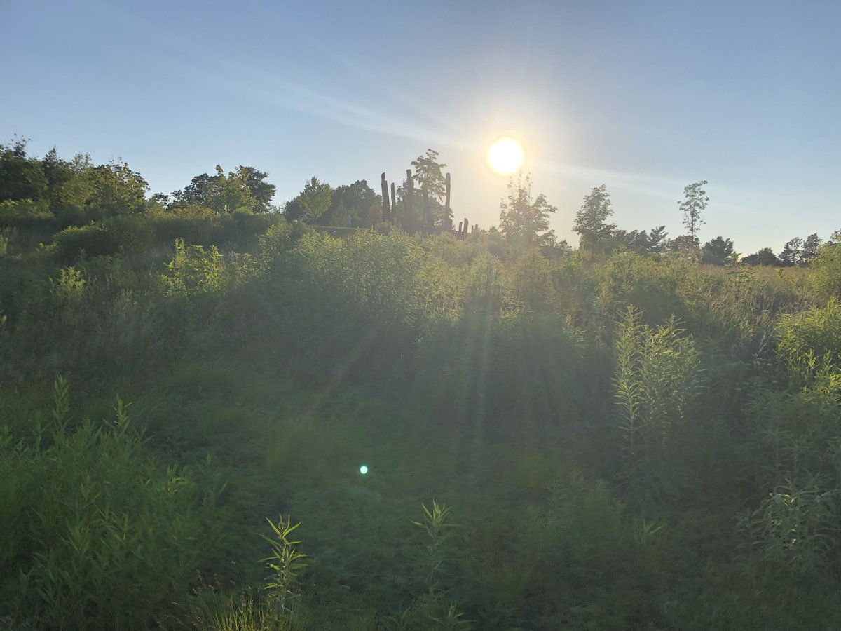 Brookline GreenSpace Alliance tweet media