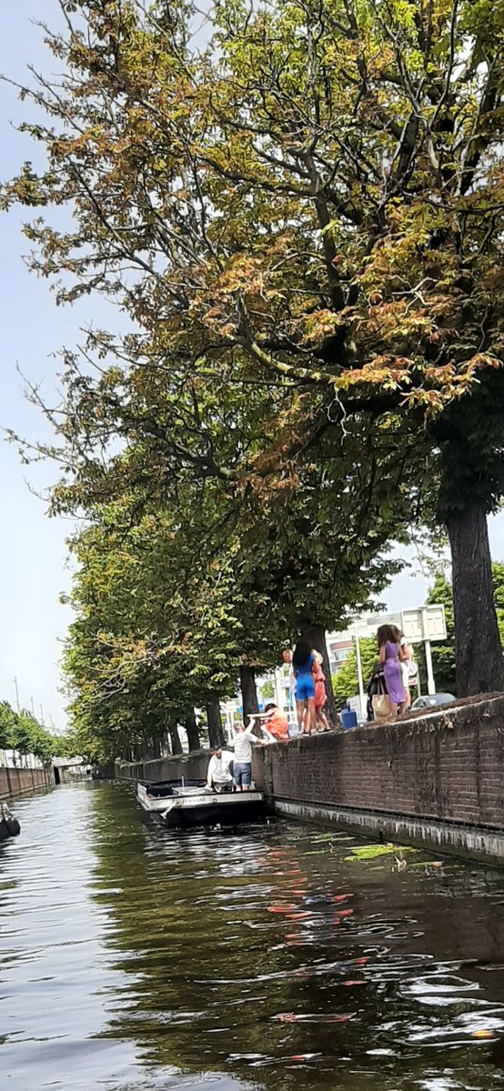 Overvolle trams, overvolle stoepen (deelscooters en -fietsen).. Alle ruimte op het water...

Precies zoals Koning Willem I het bedoeld heeft..
Varen tussen stad en strand..
Zonder stress en zonder overlast naar de <a href="/dezeekust/">De Zee Kust -DZK-</a> 

Met de <a href="/Willemsvaart/">Willemsvaart</a> kom je er wèl...