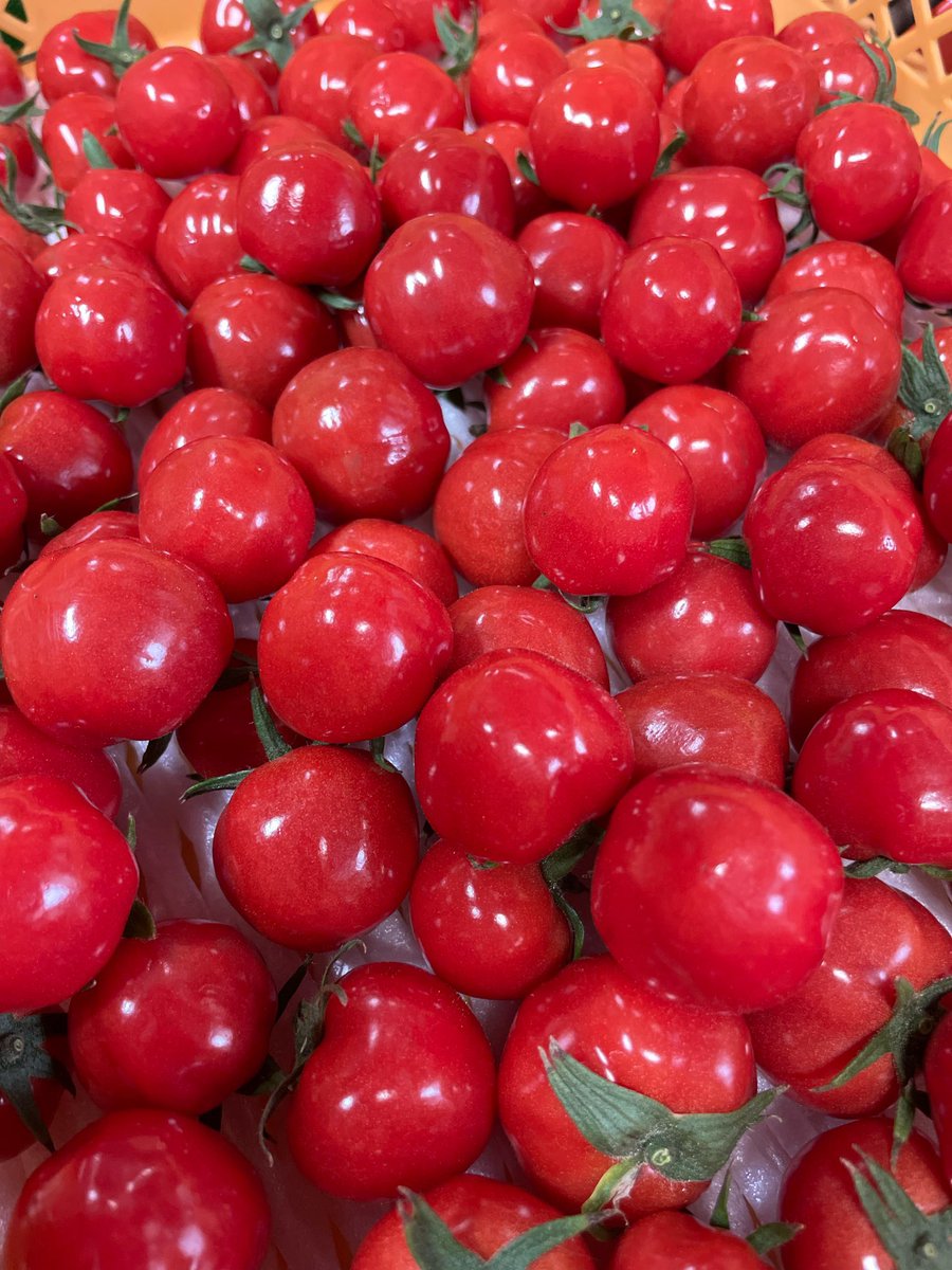 今後は、収穫出来た野菜を細々と販売します。
数に限りがありますので、朝のうちに完売する場合もあります。
また、商品が無い日は休む場合もありますので、よろしくお願いしますm(_ _)m