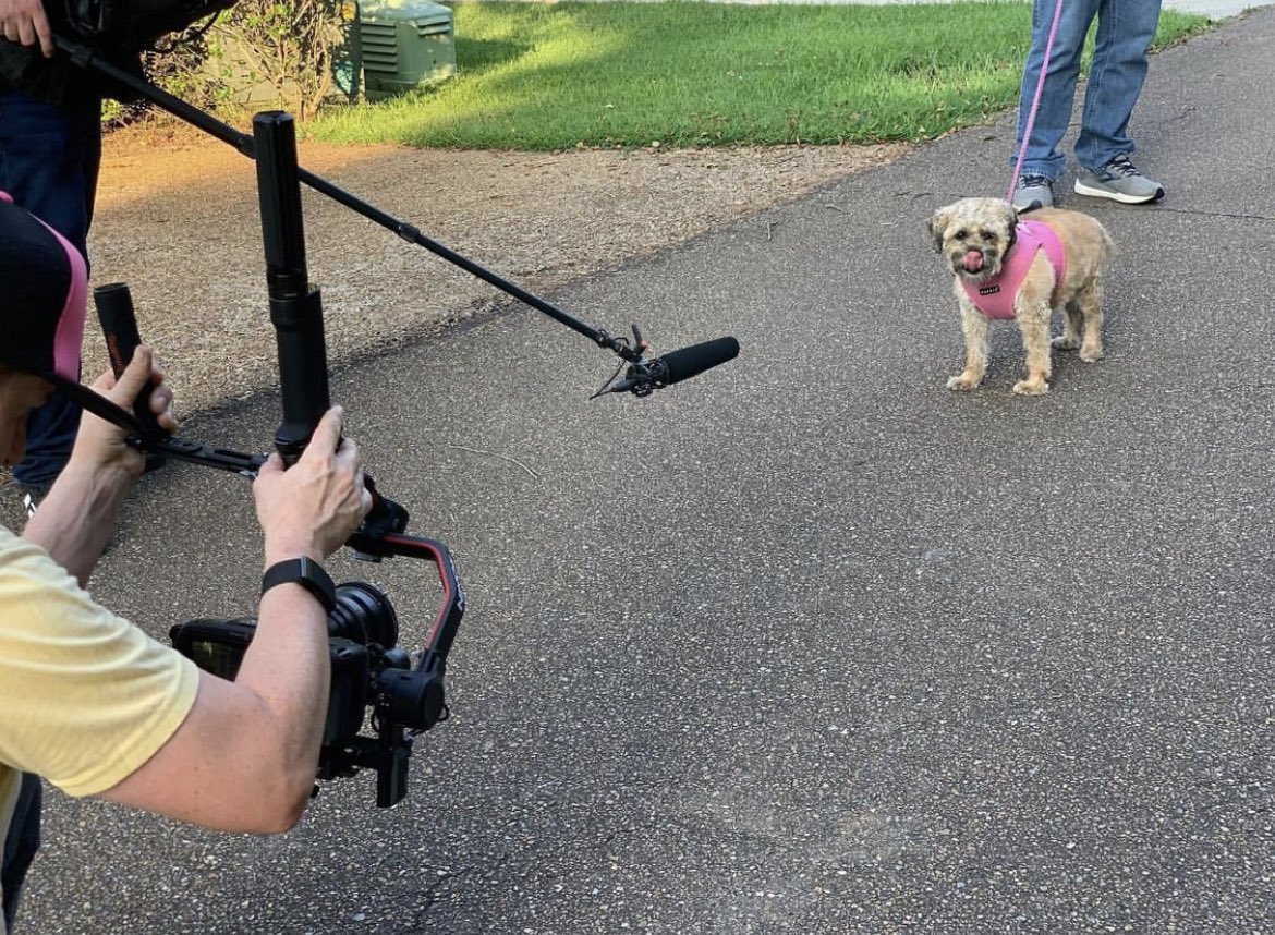 MarshallRamsey's tweet photo. First she was on #HandcraftedHotels on @discoveryplus and now she is part of a @SoutheastEMMY win. @Pipisadog has had a good year. https://t.co/kS4H0T9g2l