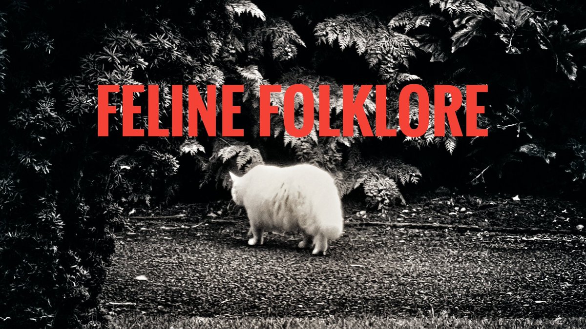LWall54451552's tweet photo. Love #SuperstitionSat and #Caturday? I've combined both in my latest post :
https://t.co/x8cdTCnX1g

 @BBlogRT @sincerelyessie @wetweetblogs @UKBlogRT @gotogirlsblogg #creatorzRT #bloglove2018 @bloglove2018 @cosyblogclub #blogdreamRT
#folklore #writerscommunity #bloggingcommunity https://t.co/B6xuhHBaFE
