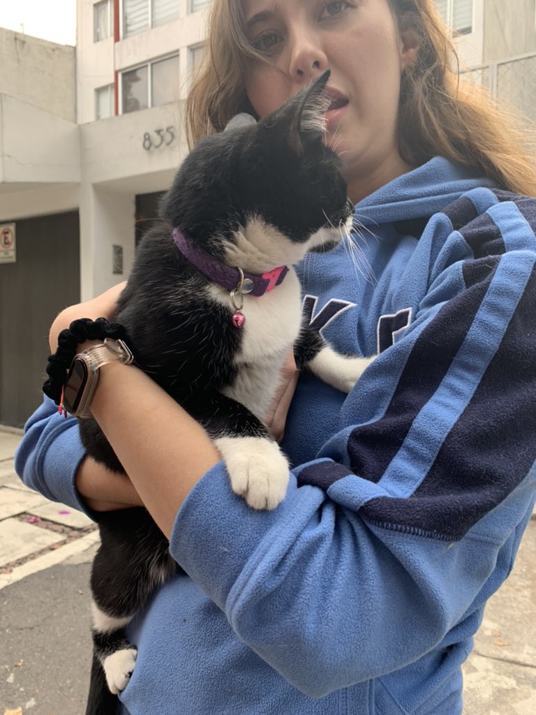 GuineaLucia's tweet photo. @En_laDelValle encontré esta gata en la calle Aniceto Ortega entre Pilares y Matías Romero https://t.co/2FOtxofCQK