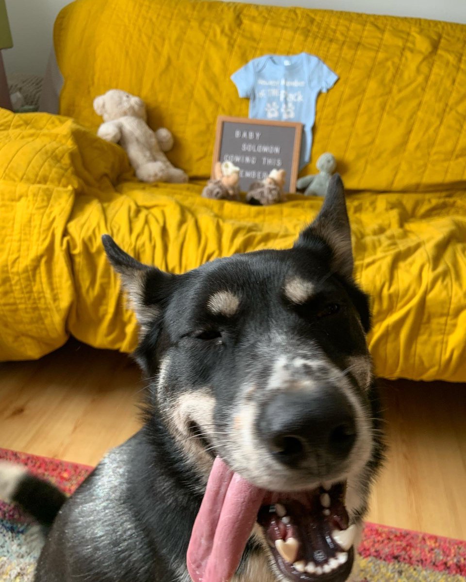 Communist Daughter tweet media