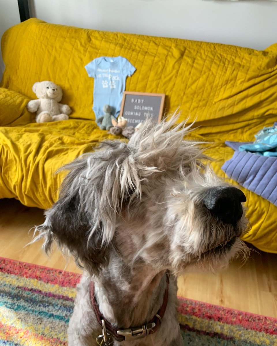 Communist Daughter tweet media