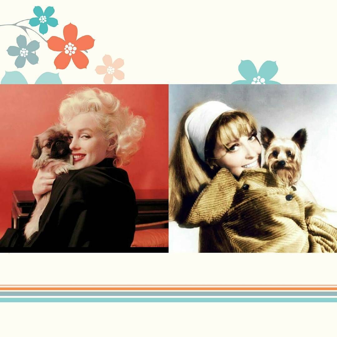 ⠀
⠀
              𝐌𝐀𝐑𝐈𝐋𝐘𝐍 𝐌𝐎𝐍𝐑𝐎𝐄
              𝐀𝐍𝐃 𝐒𝐇𝐀𝐑𝐎𝐍 𝐓𝐀𝐓𝐄.

     𝙉𝙊𝙏 𝙍𝙀𝘼𝙇 / 𝙋𝘼𝙍𝙊𝘿𝙔 &amp; 𝙁𝘼𝙆𝙀
        𝙇𝙀𝙒𝘿 𝙍𝙊𝙇𝙀𝙋𝙇𝘼𝙔 / 𝙉𝙎𝙁𝙒
     𝙇𝙄𝙏𝙀𝙍𝘼𝙏𝙀 𝘼𝙉𝘿 𝘿𝙀𝙎𝘾𝙍𝙄𝙋𝙏𝙄𝙑𝙀

⠀⠀⠀⠀                ↺ + ♡

⠀