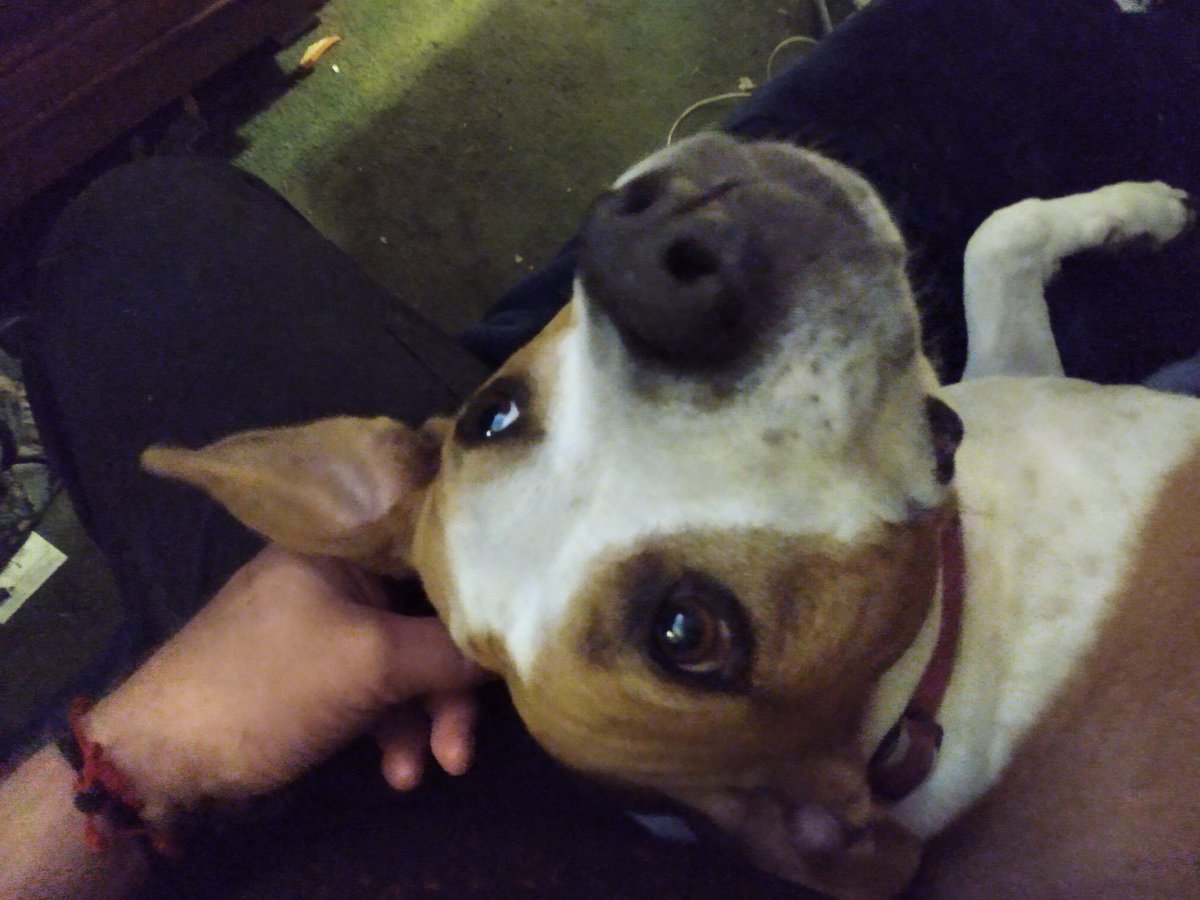 Spanky sez: "Can't we all agree to disagree?!?" You got this all upside down and backwards!!