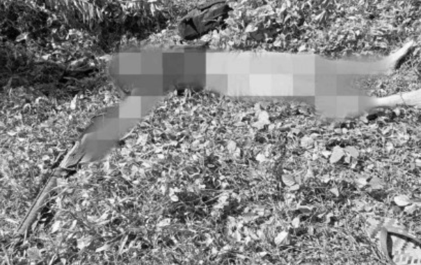 prog_pwrc's tweet photo. A New People’s Army (NPA) rebel was killed in a clash with police and military troops in Barangay Gñaran, San Fernando town in Camarines Sur on Friday, the Philippine Army (PA) has reported. https://t.co/11VYu18GOx