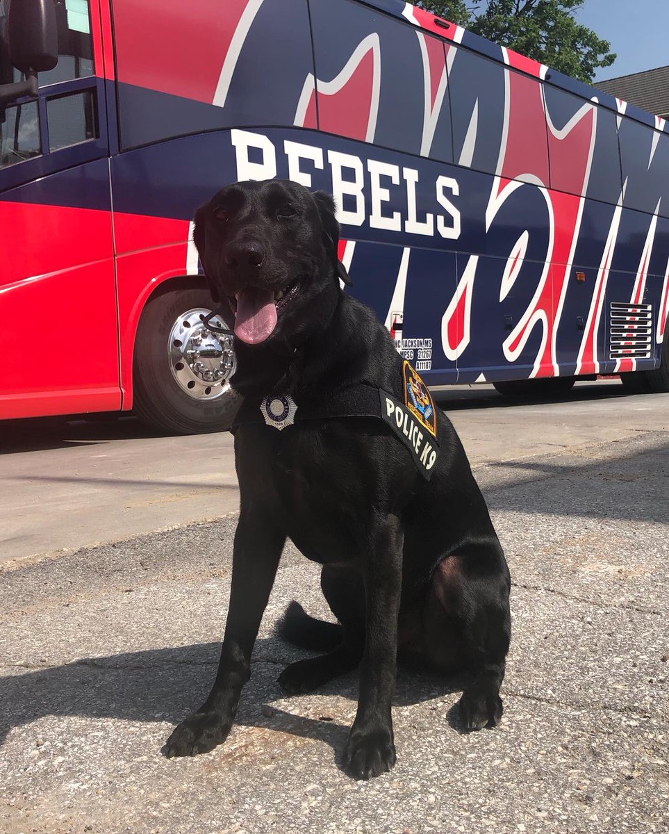 OPDK9Dominic (@dominic_k9) on Twitter photo Met some new friends today from <a href="/OleMissBSB/">Ole Miss Baseball</a> ⚾️🐾
#opd
<a href="/NCAABaseball/">NCAA Baseball</a>
<a href="/CWSOmaha/">College World Series of Omaha</a> Met some new friends today from <a href="/OleMissBSB/">Ole Miss Baseball</a> ⚾️🐾
#opd
<a href="/NCAABaseball/">NCAA Baseball</a>
<a href="/CWSOmaha/">College World Series of Omaha</a>