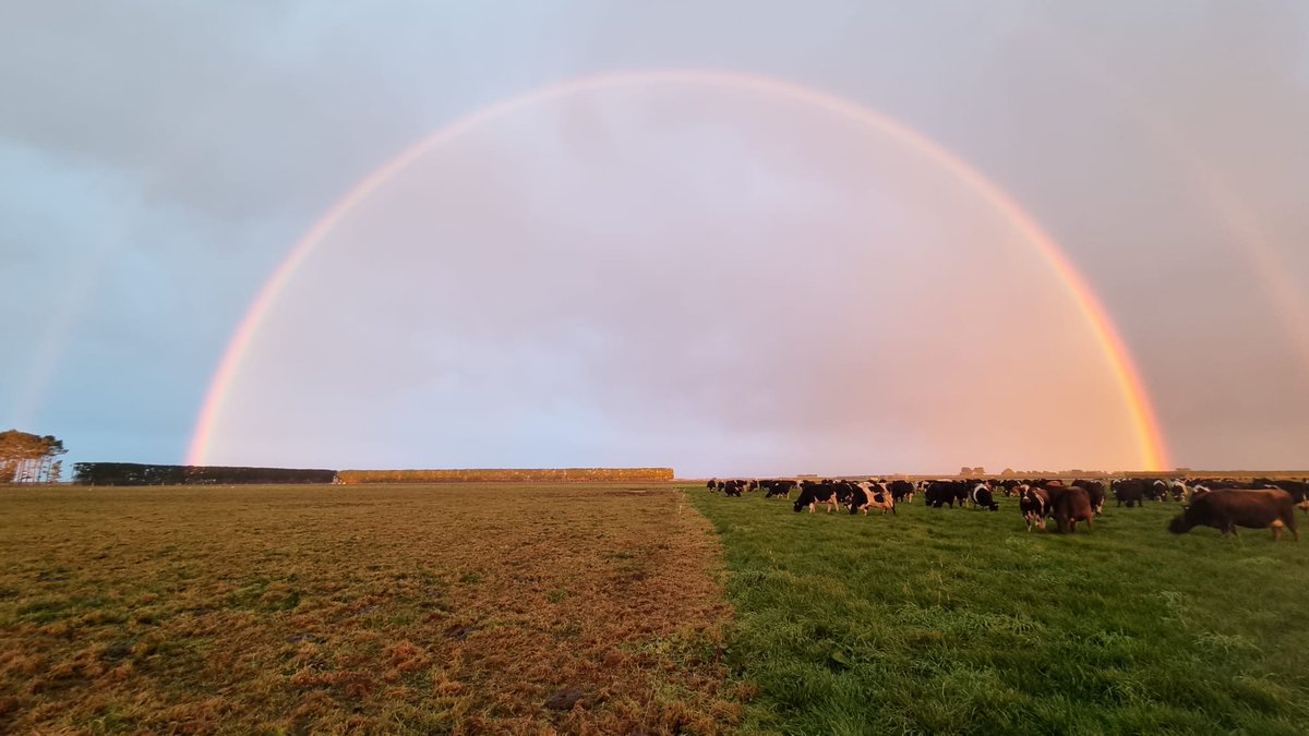 Farmers No Borders tweet media