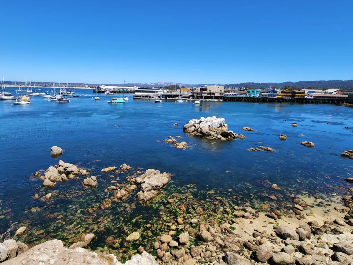 BedazzleCats's tweet photo. Last week it was 101 South to Monterey for a @M_CCarpenter concert, today it's 101 North to Santa Barbara. California may be expensive, but you can't beat our scenery and our weather! 🌴🌞⛵ #musicaltourism #StayMighty 💜 https://t.co/elzlLKi7Sh