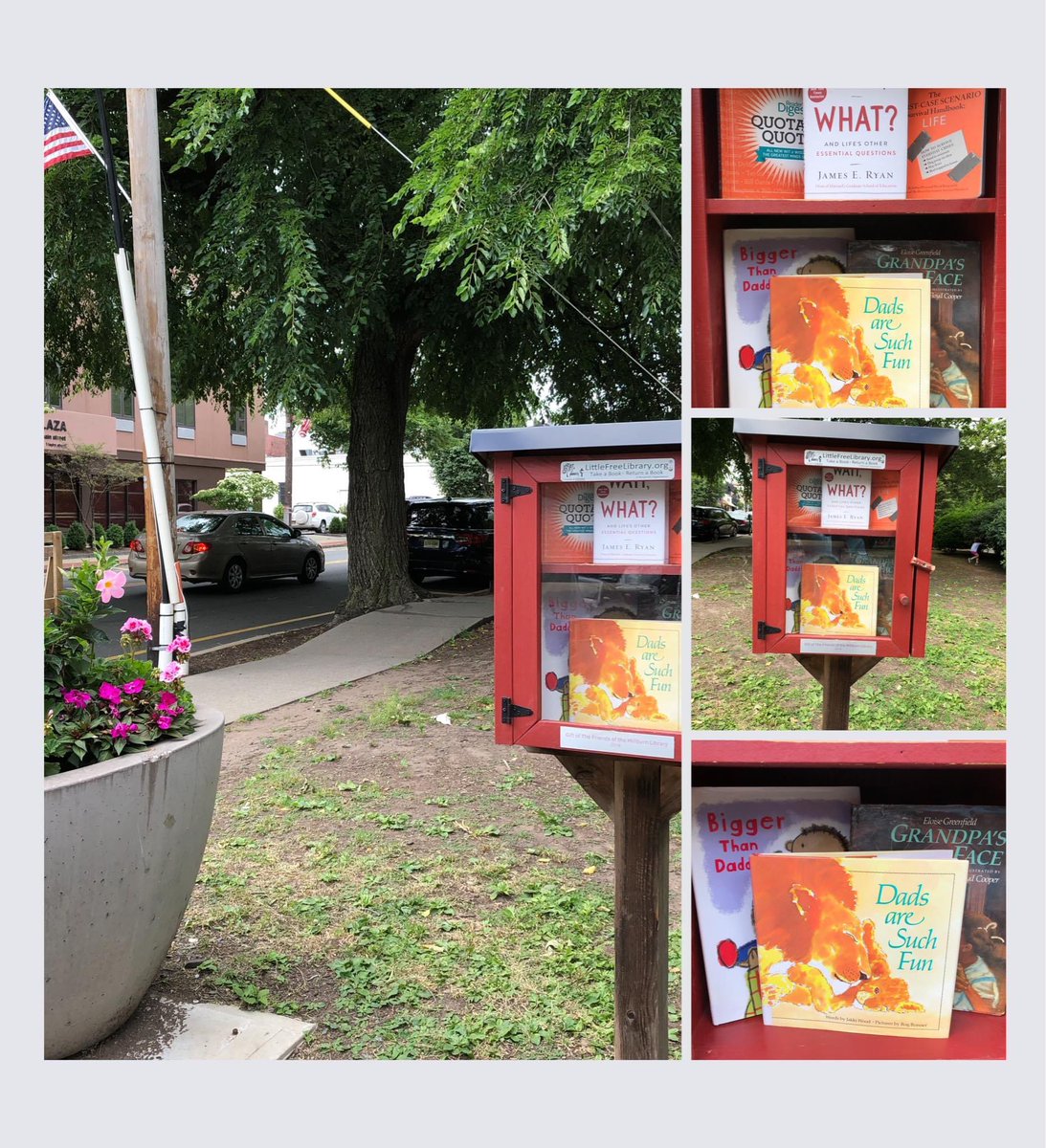 FriendsMillburn's tweet photo. Are you ready for Dad’s Day? The Taylor Park LFL is! Take your pick from our great selection of titles for, and about, Fathers.

#friendsofmillburnlibrary
#friendsofmillburnlfl
#fathersday https://t.co/QHevxx5f2m