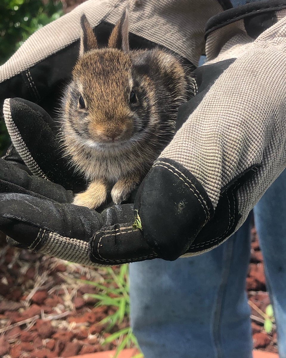 Tokingtim420 tweet media