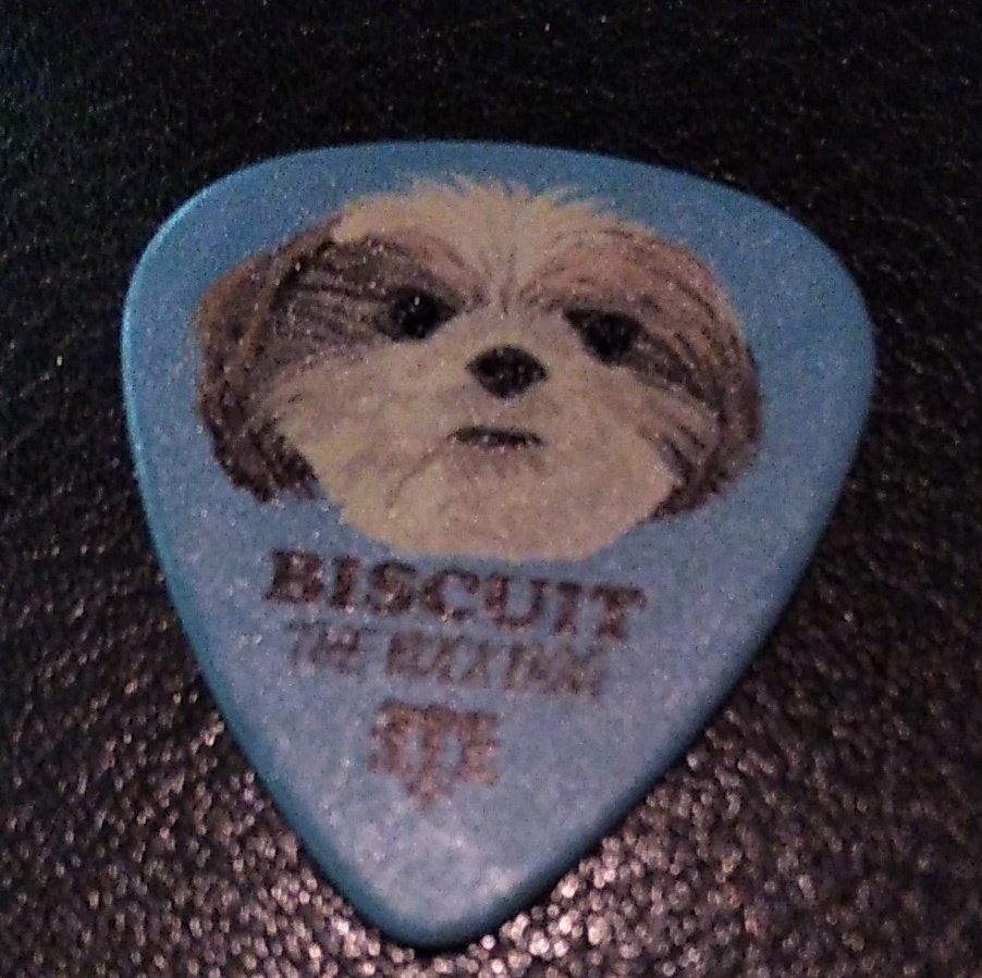 BreadofL1FE's tweet photo. @BiscuitRockDog we score π your pick
#OneWayOutTour
#Cherish4Ever
#BiscuitTheRockDog https://t.co/91vL00cBRx
