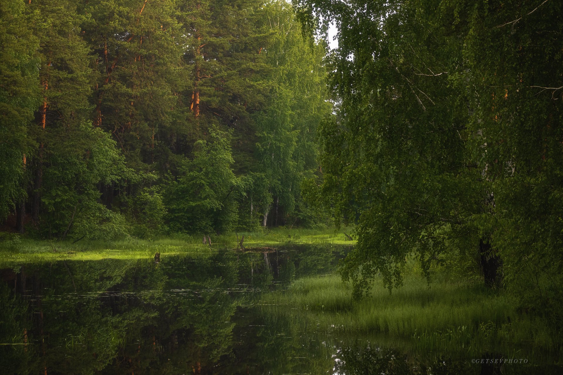 Пруд / the Pond (2021)