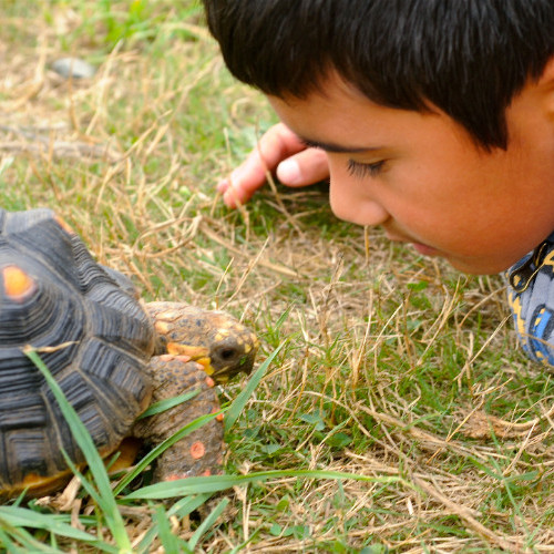 Urban Safari Rescue (@usrsc) on Twitter photo Urban Safari has summer camps for the first time in 2 years! There's space in the July 11 to 15 camp & July 18 to 22nd camp. For details check our web site urbansafari.ca/courses_camps/…
or email info@urbansafari.ca
#paradeguy #surreybc #summercamps #langleybc #whiterockbc #kidscamps Urban Safari has summer camps for the first time in 2 years! There's space in the July 11 to 15 camp & July 18 to 22nd camp. For details check our web site urbansafari.ca/courses_camps/…
or email info@urbansafari.ca
#paradeguy #surreybc #summercamps #langleybc #whiterockbc #kidscamps
