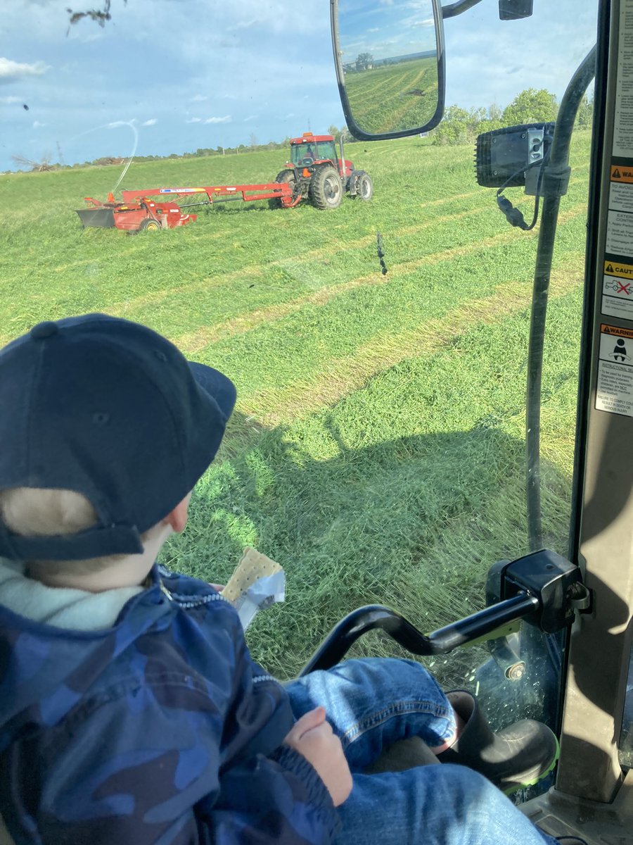 My 2 year old and his 81 year old great-grandfather cutting hay together today. 79 years between them, pretty cool to see