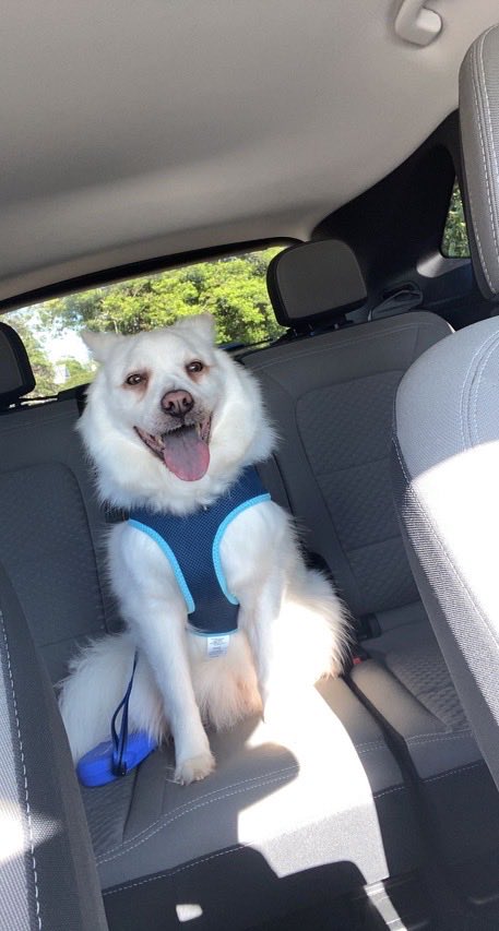 ClarkTESVB's tweet photo. Somebody is happy to start summer break!! https://t.co/7kiDdfTbFr