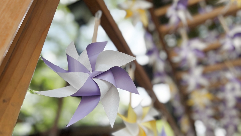 japan's tweet photo. #PhotosOfTheMonth: Japanese have long believed that feelings can be carried on the wind, hopefully reaching the ones they love. That’s why #KawagoeHikawaShrine, dedicated to the god of matchmaking, displays kazaguruma (pinwheels) in June.
https://t.co/h6ReSJvSJk

#Saitama https://t.co/hOtJTQoCO6