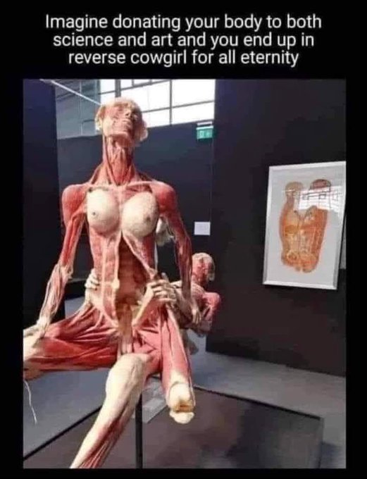 10/10 would donate my body to this science. https://t.co/WAnnK17gZo<a href="/tag/nsfwtwt"class="tags"><span>#nsfwtwt</span></a>