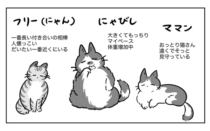 たくさんのいいね・RTありがとうございます!
一緒に暮らす猫たちの紹介🐈🐈‍⬛🐈‍⬛
飼い主の突然の病気・事故の際の対策にも触れてます。
ペットの「もしも」も考えるきっかけになると嬉しいです。 