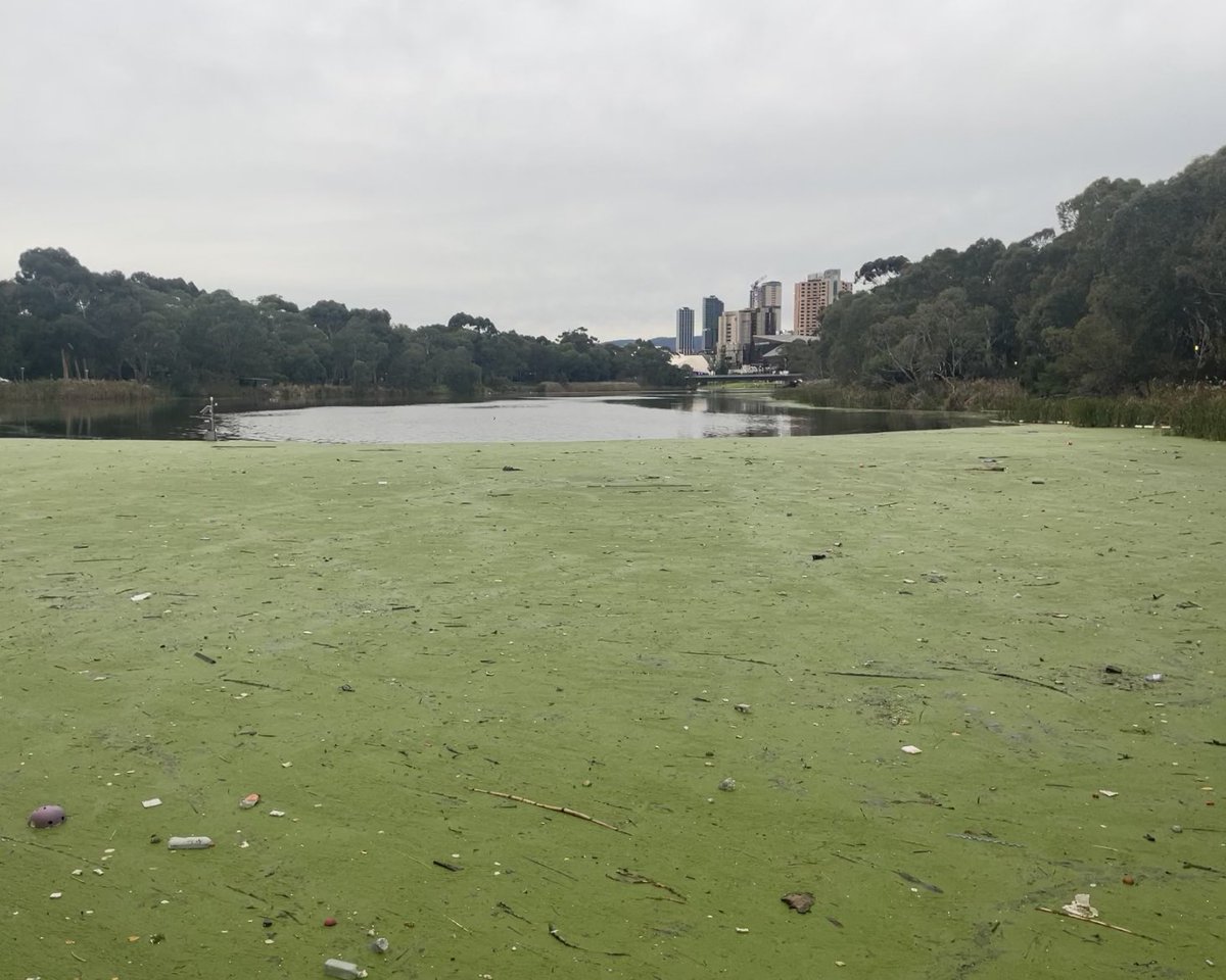 Tim Lock tweet media