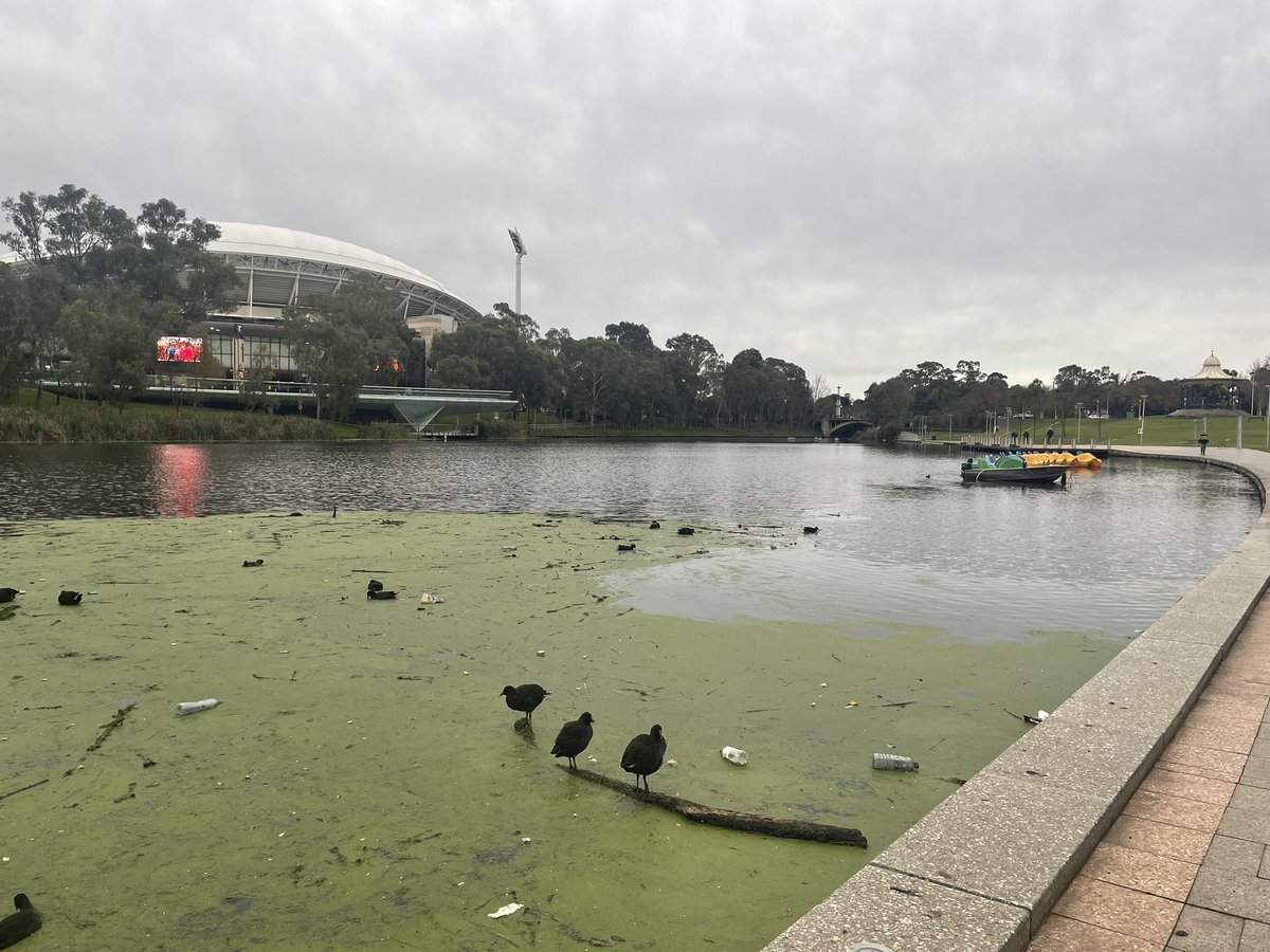 Tim Lock tweet media