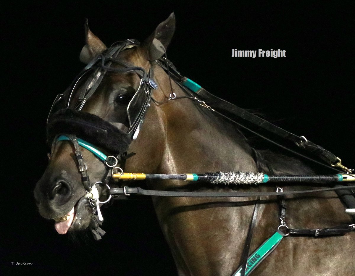 hoosiernations's tweet photo. Gold Cup winner #JimmyFreight in a new lifetime best 1:48
Congratulations @ASorella https://t.co/MlMdcuFyNr