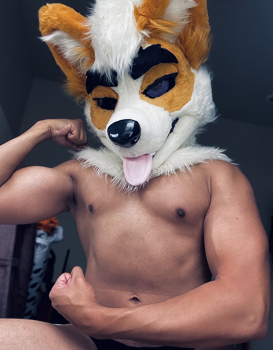 Genesys! tweet media