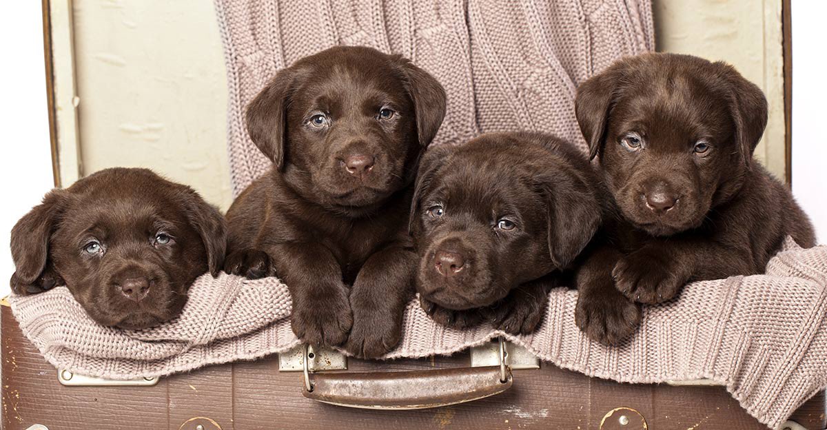 FreeColbert's tweet photo. @sasshole @NicoleJWebb 4 be being so smOL!! Need room for snax though. https://t.co/QZ11EOEm4X