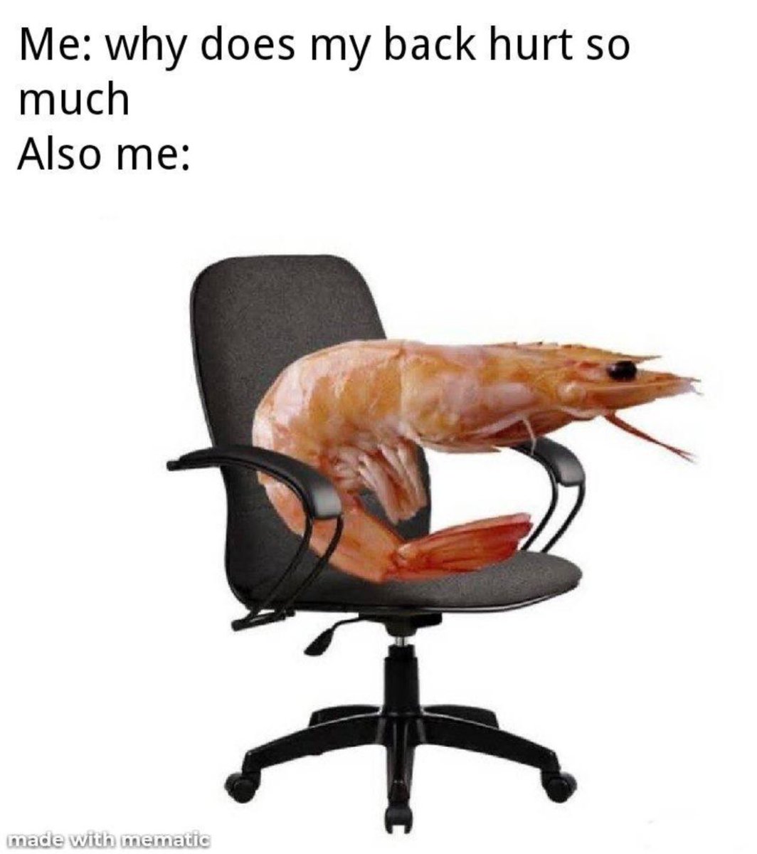 Clarelurks's tweet photo. Shrimp-icy your Fursona challenge ! Just draw them as a shrimp lol #furryfandom #shrimpchallenge https://t.co/y0KEvMVBnc