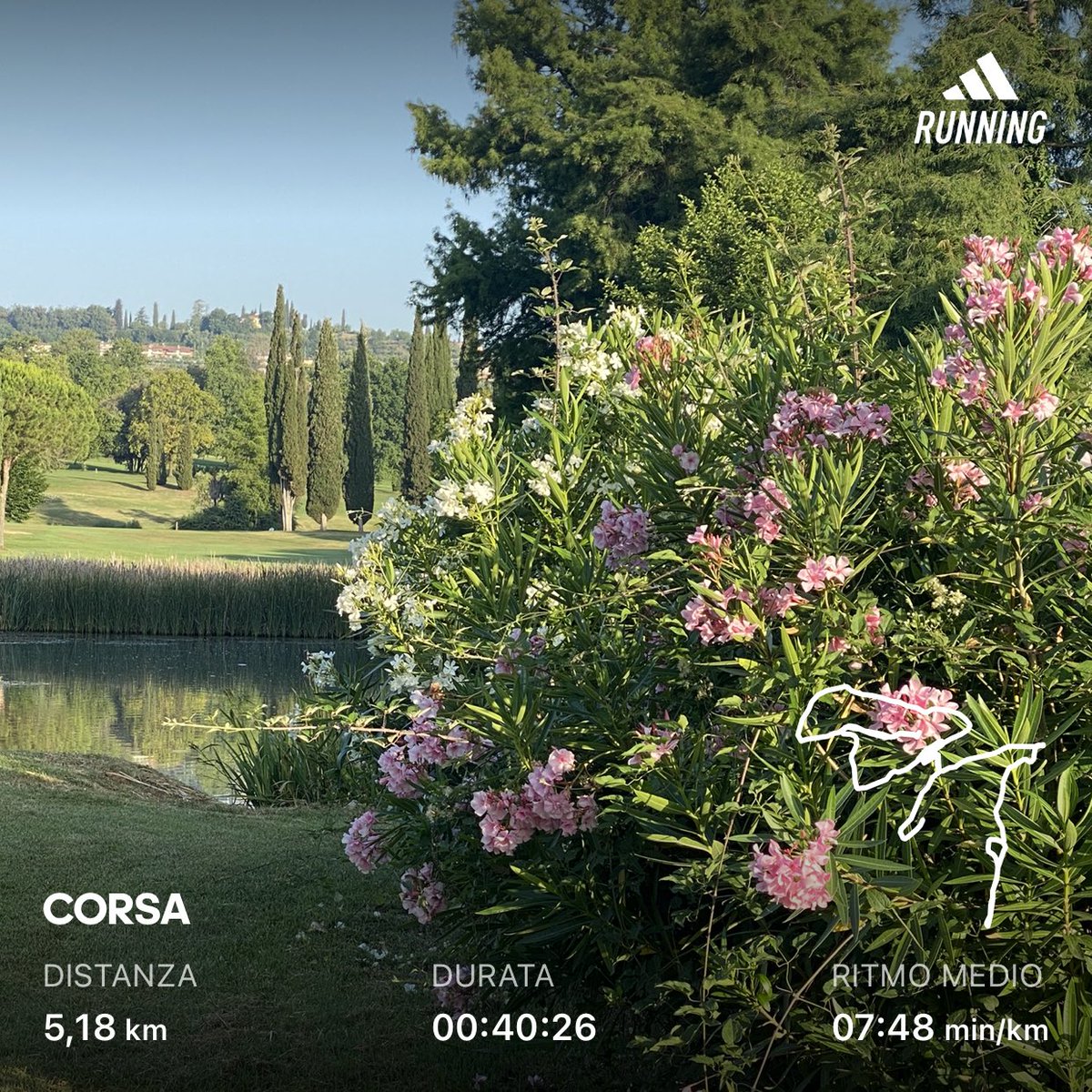 VentoLoris's tweet image. 