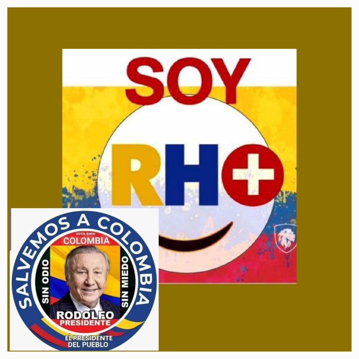 @fredymayal #ExguerrilleroOIngeniero Vamos 💪 con #RodolfoPresidente