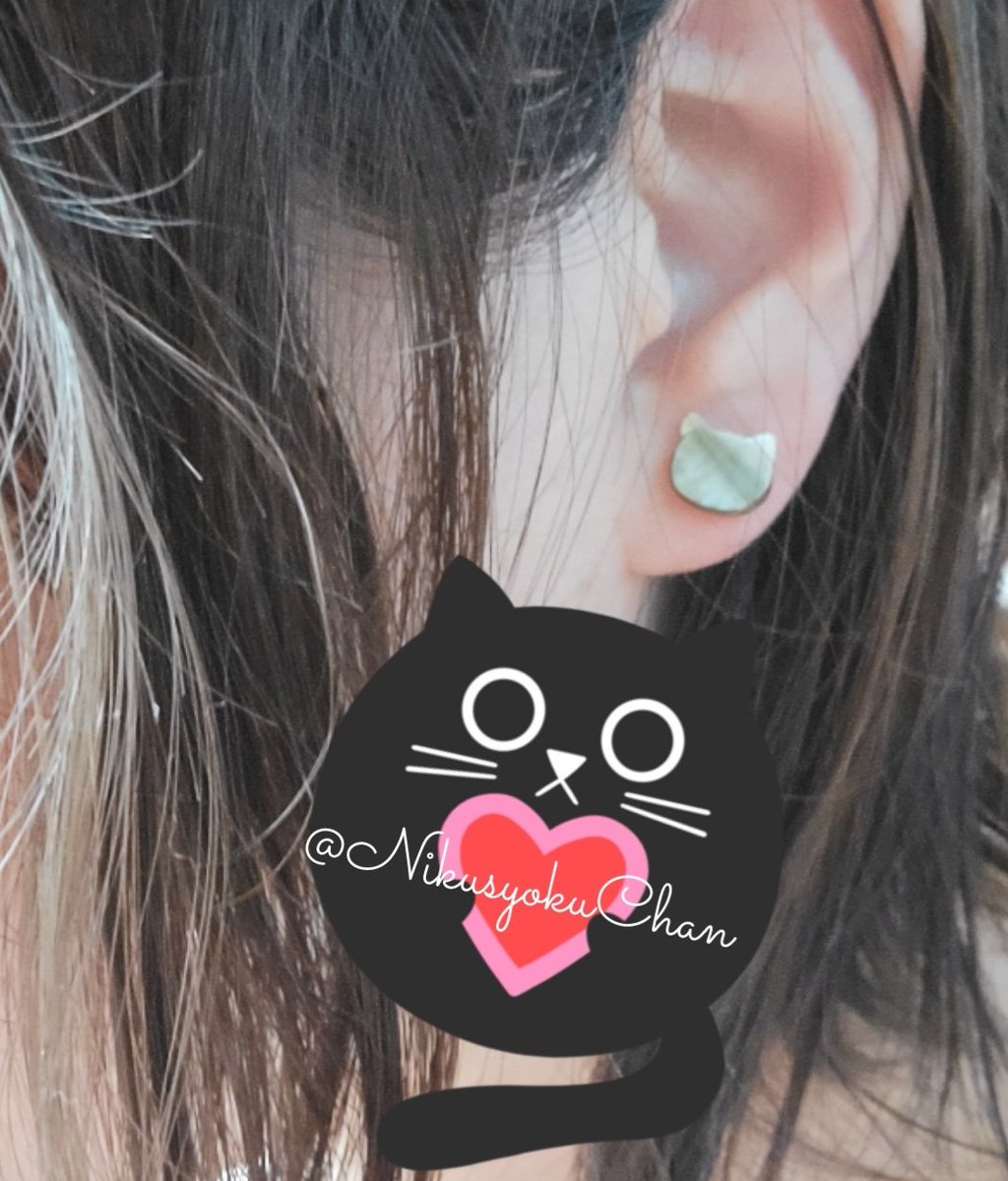 NikusyokuChan's tweet photo. ピッピで新しく買ったシェル猫が可愛すぎる♡
かなり前から愛用してるけど私みたいにアレルギーある人も気軽に使える上にデザイン豊富でこだわり強い人にもオススメ
揺れるタイプもよく着けるけど激しい動きしてても丸１日取れたことない✿

#Leange　#PiPPi　#貼るだけピアス
#アレルギー　#ピアス https://t.co/NRjIF3PlEk