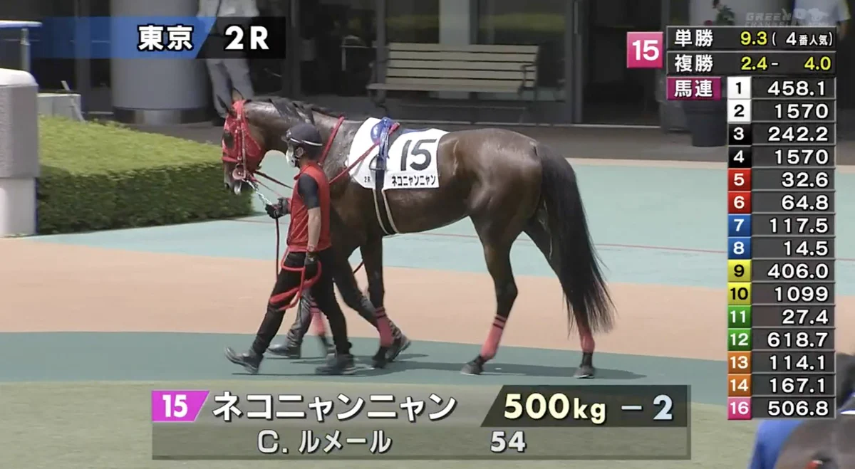 もはや馬じゃない…。ネコニャンニャンと呼ばれる競走馬！