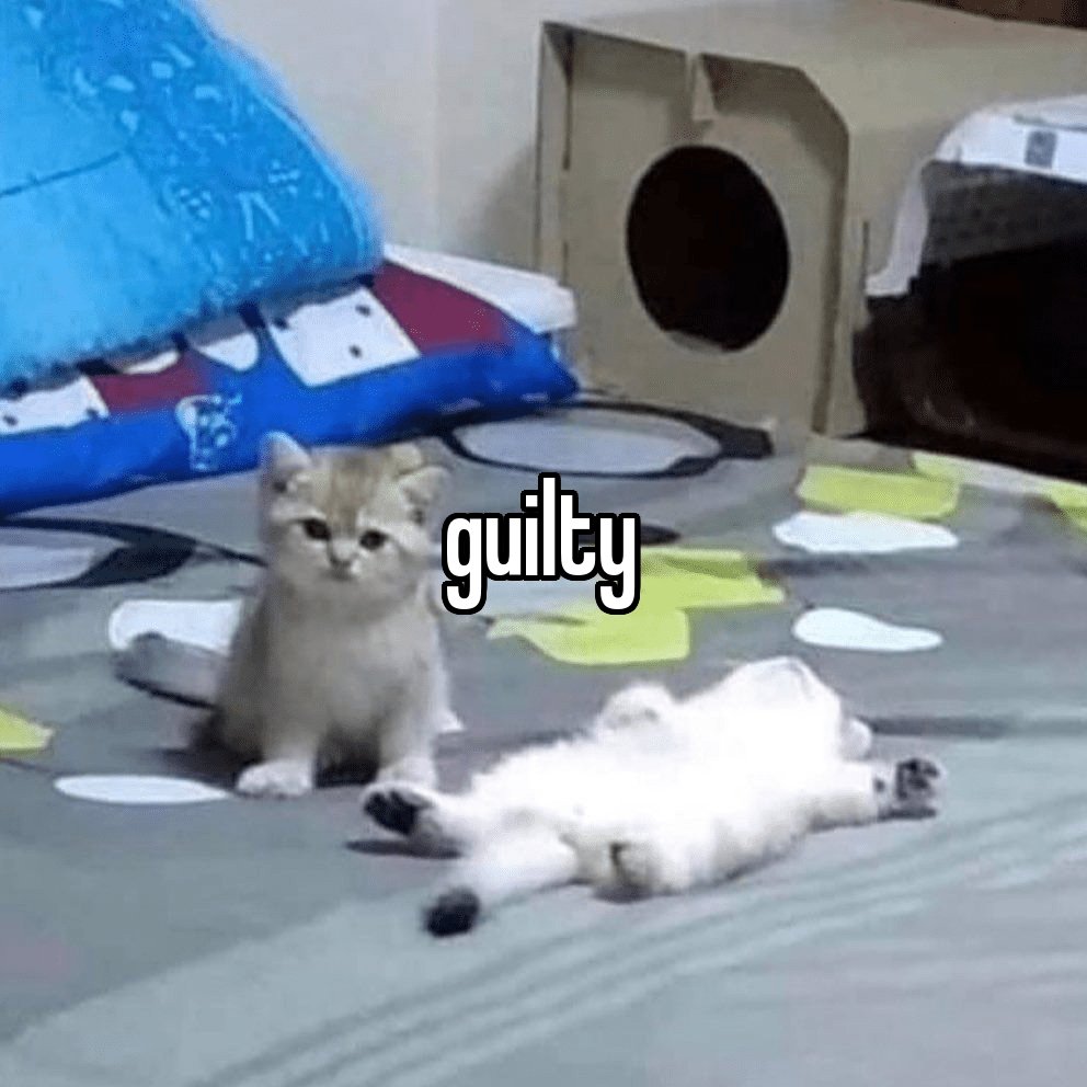 SNIPINGHOM's tweet image. 