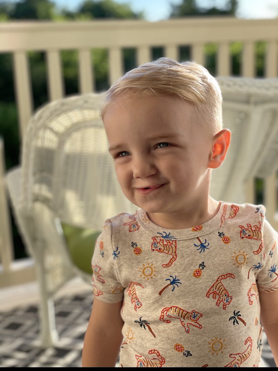 lexyloftis's tweet photo. ok but how cute are my babies 🥺 https://t.co/tjjbyyDfvp