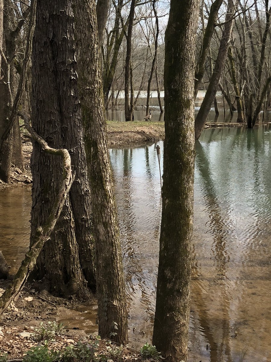 7695Live's tweet photo. Only 12 miles from downtown Nashville 

Step into nature and enjoy your special day at 7695

#NatureIsCalling #Nashville #naturelovers #venue #PrivateParty #wedding #water https://t.co/BAZtmrDE2T