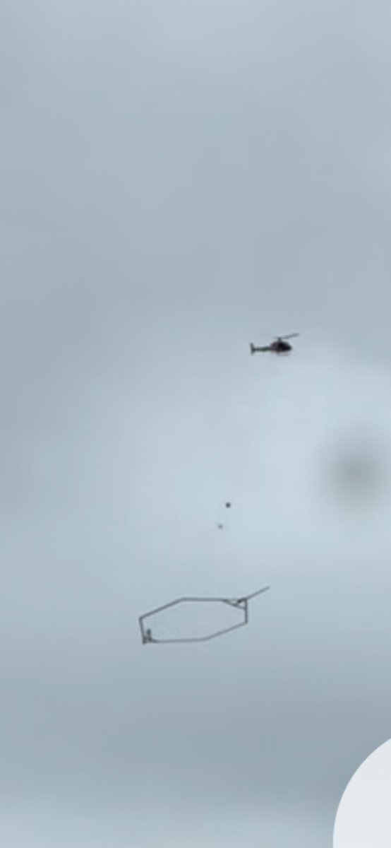 Alisha Chinner tweet media