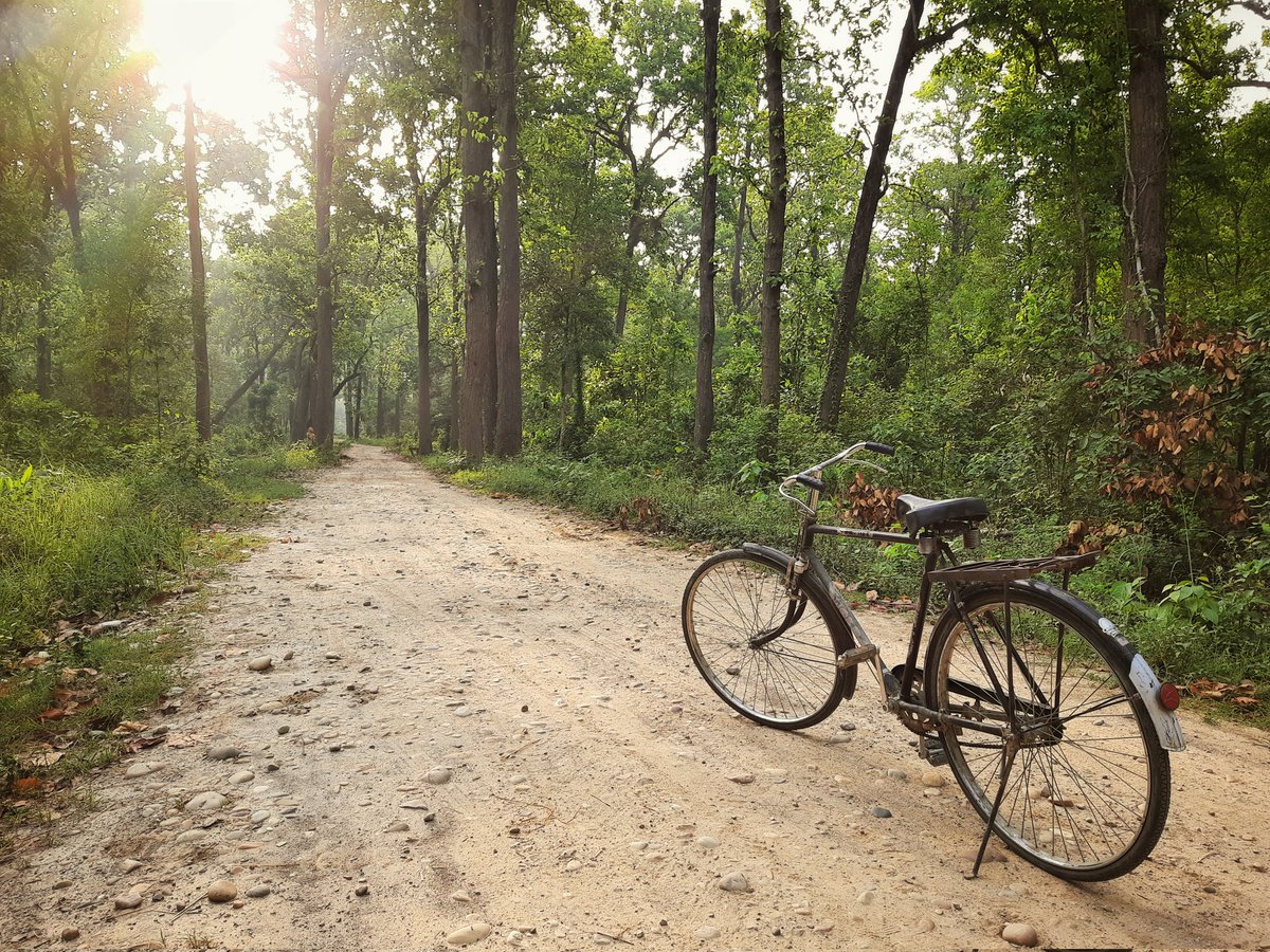Bikash_PJ's tweet photo. Portrait of #HeroCycle https://t.co/TWfA0IXDti