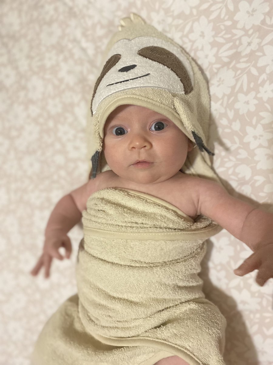 DramaGeekTomlin's tweet photo. I never knew I could love someone as much as I love this baby 🥹❤️ https://t.co/c4s8XUVUFm