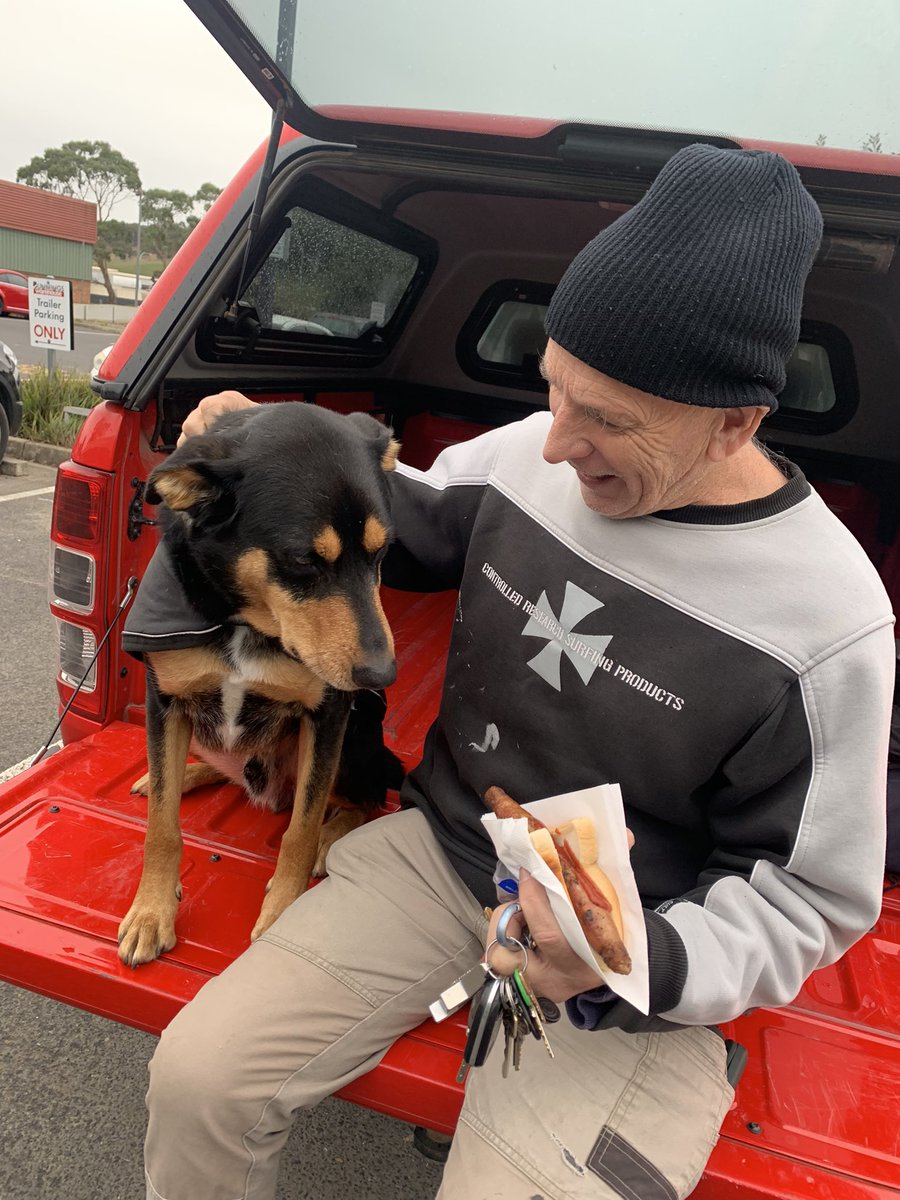 JamesASexton's tweet photo. This great bloke buys a Bunnings sausage every Sunday (no onions ) but a bit of sauce and feeds it to his kelpie #kelpie @AdamCoffeyNT @PearsonBrodie @LPearson15 @bouta_nt #netballfundraiser https://t.co/rZgk3WpC0V