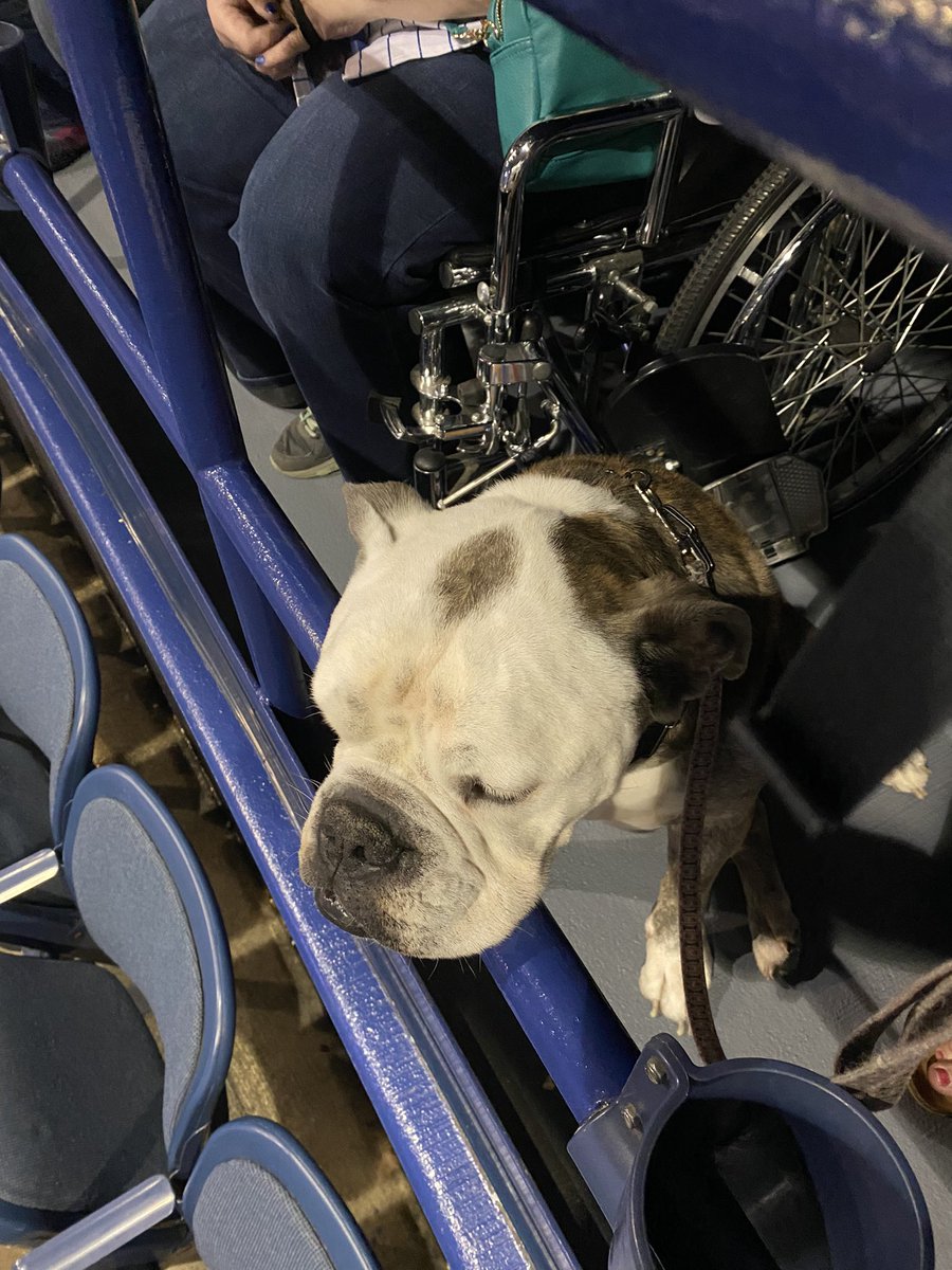 Soldier_CCOTA's tweet photo. Momma brought me to New Kids on the Block…. I see a ton of women and really loud screams….. now I know why papa stayed home! #NKOTBMIXTAPETOUR https://t.co/fYBcZoBl6M