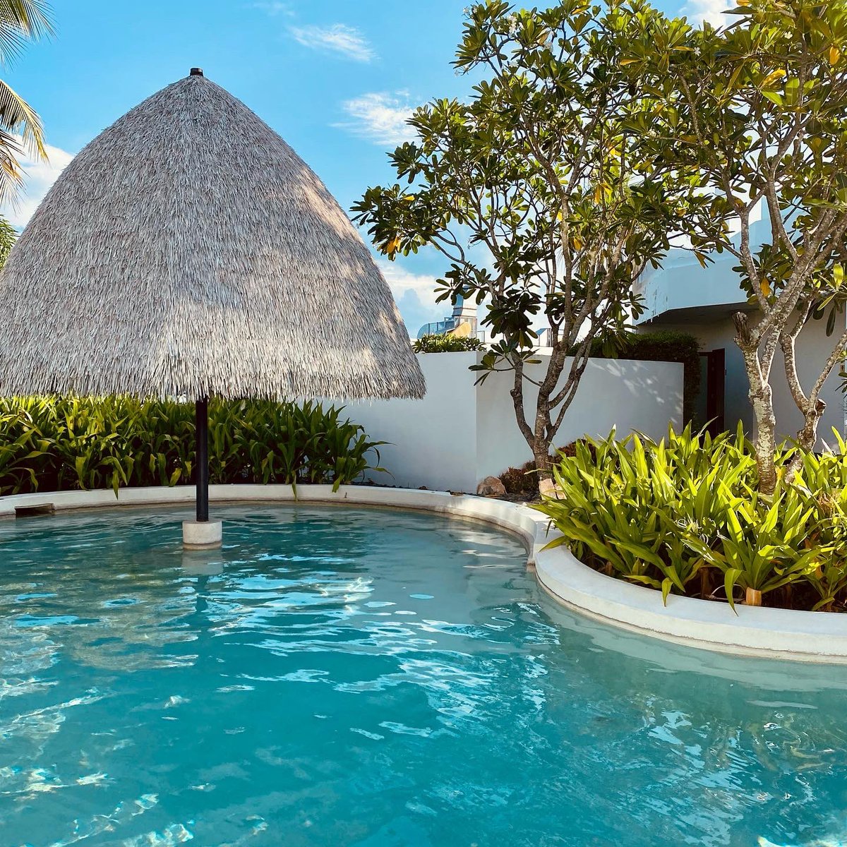 247Journey's tweet photo. หัวหินสวยอีกแล้วววว สระว่ายน้ำสวยปัง Pool Bar จิบเครื่องดื่มเย็นๆในสระ มีจากุซซี่ส่วนตัวบนดาดฟ้า วิวภูเขาล้อมรอบ 

🚩 La Lua Hua Hin หัวหิน 112

@ReviewHuaHin #ที่พักหัวหิน #รีวิวหัวหิน @ReviewThailand_  @AmazingThailand #amazingthailand #thailand https://t.co/eOaCCWWOXw