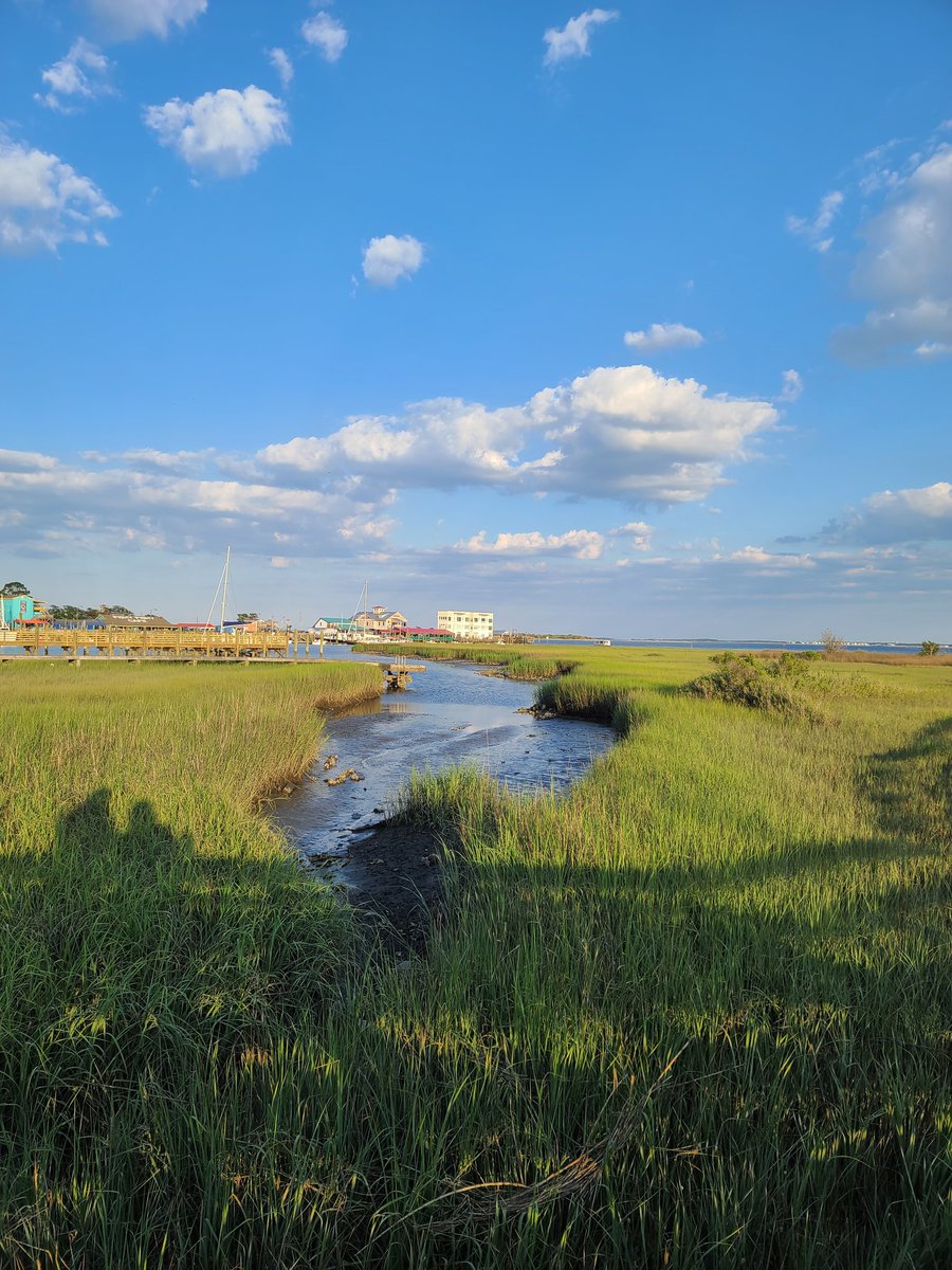 LoriL0vesMusic's tweet image. #Namjooning #NC
💜💜 #tinycrabs @BTS_twt