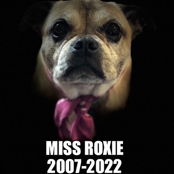 The hardest thing I’ve ever had to do on my adult life….#dogs