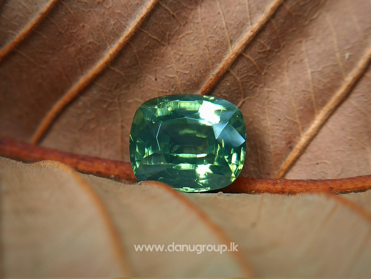 Ceylon Natural Green Zircon from Danu Group Gemstones Collection!

Product 👉 danugroup.lk/product/ceylon…

#zircon #zirconprice #green #greengemstone #natural #gemstone #danugroup #greenzircon #zirconjewelry #jewelryidea #custummade #gemstones  #mining #gemhunting #japan