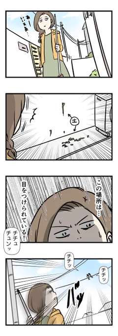 この季節特有の偶然の出会いに
心躍ってしまった主婦の話

#コミックエッセイ
#漫画が読めるハッシュタグ 
