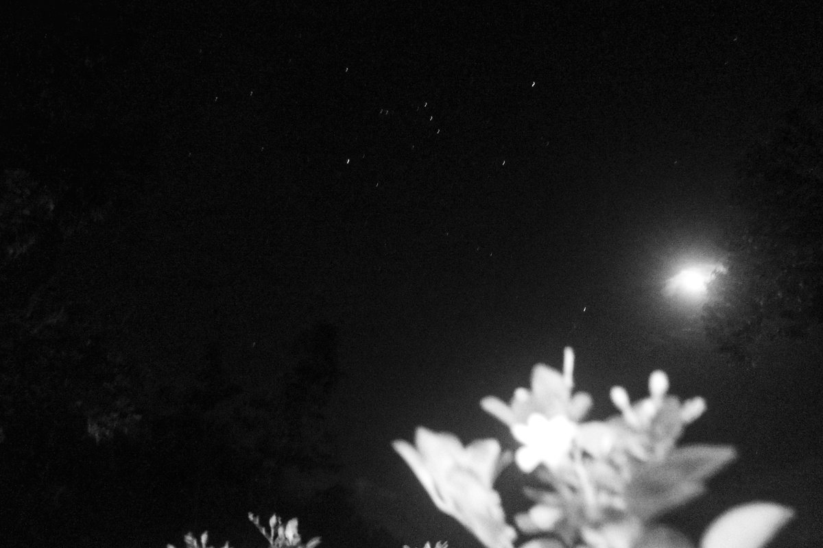 snashci's tweet photo. #blackandwhitephotography 
#photography 
#lowmegapixel https://t.co/0jTiEHNccz